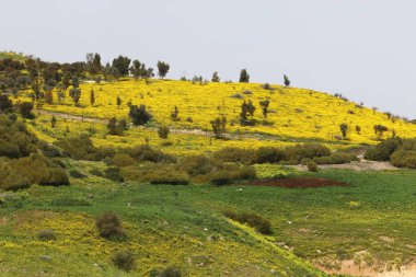 İsrail 'in kuzeyindeki dağların manzarası. İsrail 'deki Golan Tepeleri manzarası. 