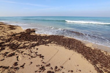 Kuzey İsrail 'de Akdeniz kıyısındaki kumsal. İsrail 'de sıcak yaz. 