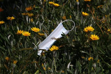 Corona virüsüne karşı korunmak için kullanılmış ve kirli bir tıbbi maske şehir parkında çöp gibi duruyor.. 