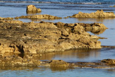 Kuzey İsrail 'de Rocky Akdeniz kıyıları 