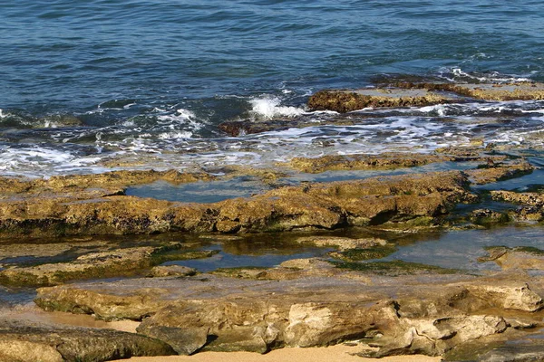 Kuzey Srail Rocky Akdeniz Kıyıları — Stok fotoğraf