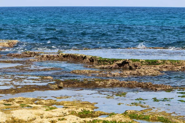 Sziklás Mediterrán Partvidék Észak Izraelben — Stock Fotó