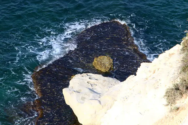 Costa Mediterranea Rocciosa Nel Nord Israele — Foto Stock