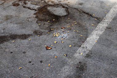 Şehir sokaklarında sigara içilen yerlerde pislik ve enkaz var. Sigara içmek gibi kötü bir alışkanlık.. 