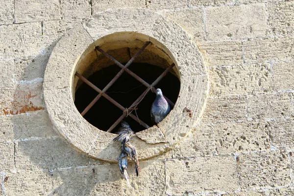 Pequena Janela Como Detalhe Arquitetônico Construção Edifícios Residenciais Israel Abertura — Fotografia de Stock