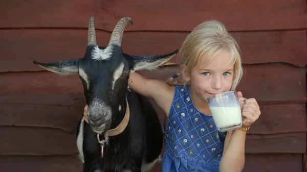The girl drinks goat milk from a mug and hugs her beloved goat.