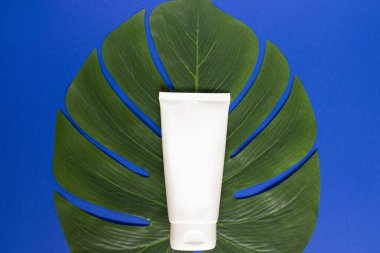 Sıvı, krem, jöle ve losyon için şişe. Mavi arka planda tropikal yapraklı osmetik şişe. SPA kozmetik ürünleri markalaştırma modeli. Düz yatış minimalist tarzı.