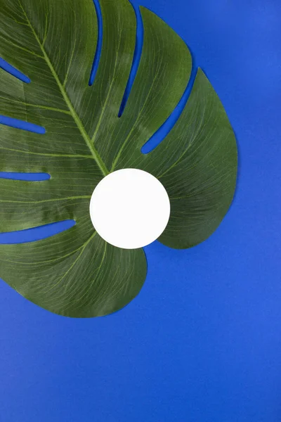 Sıvı, krem, jöle ve losyon için kavanoz. Mavi arka planda tropikal yapraklı osmetik kavanoz. SPA kozmetik ürünleri markalaştırma modeli. Düz yatış minimalist tarzı.