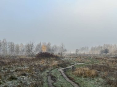Sakin bir nehir ve uzak ağaçlar üzerinde puslu bir sonbahar sabahı