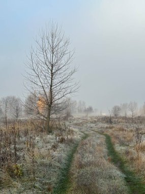 Sakin bir nehir ve uzak ağaçlar üzerinde puslu bir sonbahar sabahı