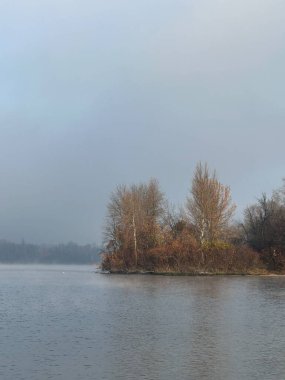 Sakin bir nehir ve uzak ağaçlar üzerinde puslu bir sonbahar sabahı