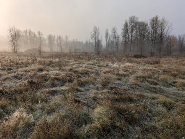 Sakin bir nehir ve uzak ağaçlar üzerinde puslu bir sonbahar sabahı