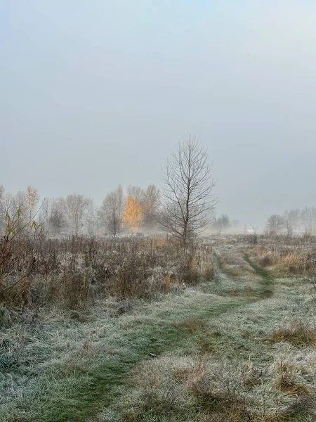 Sakin bir nehir ve uzak ağaçlar üzerinde puslu bir sonbahar sabahı