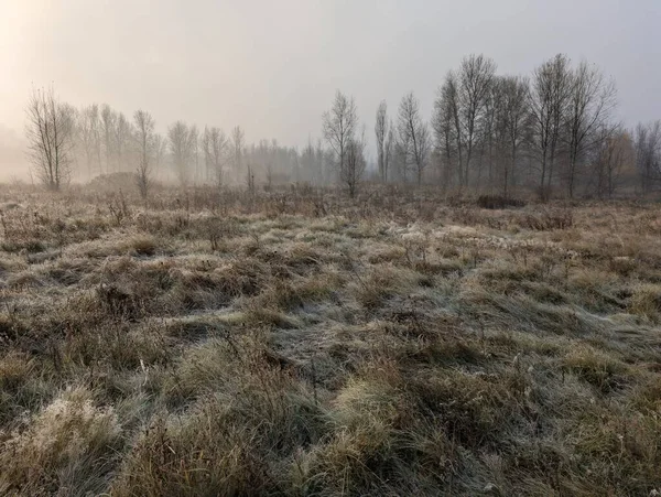Sakin bir nehir ve uzak ağaçlar üzerinde puslu bir sonbahar sabahı