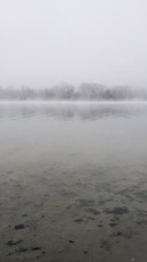 Sakin bir nehir ve uzak ağaçlar üzerinde puslu bir sonbahar sabahı