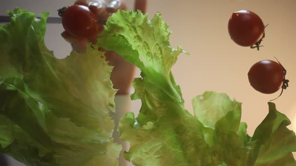 Ensalada Caprese, aperitivo italiano con tomates — Vídeos de Stock