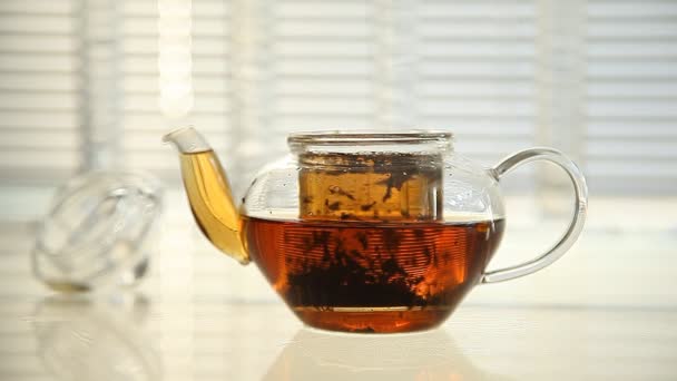 Hojas de té en una olla de agua hirviendo. primer plano — Vídeos de Stock