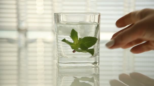 Limpe a água limpa com gelo e folhas de hortelã. close-up — Vídeo de Stock