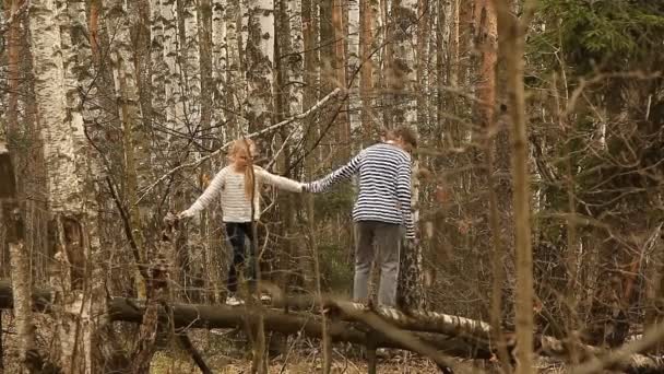 Linda chica y niño caminando en un bosque de abedules — Vídeos de Stock