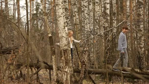 少年と少女は秋の森でのログの移動します。 — ストック動画