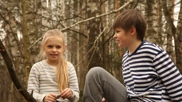 Linda chica y niño en un bosque de abedules — Vídeos de Stock