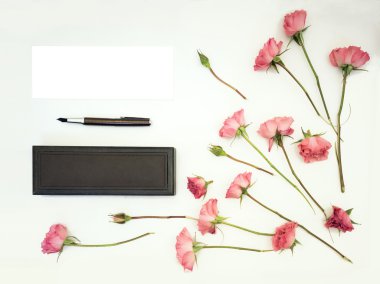 Pembe Gül, kalem ve beyaz arka plan üzerinde izole kutusu. Düz yatıyordu, en iyi görünüm. Metniniz için yer.