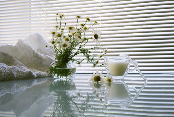 Natürmort beyaz - papatya, bardak süt — Stok fotoğraf