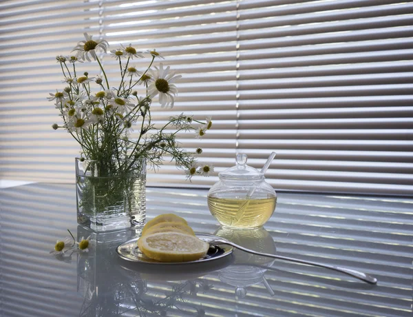 玻璃花瓶中的雏菊。白色的静物 — 图库照片