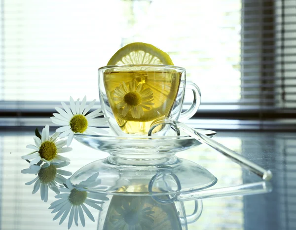 Ainda vida em branco - camomila, xícara de chá, limão — Fotografia de Stock