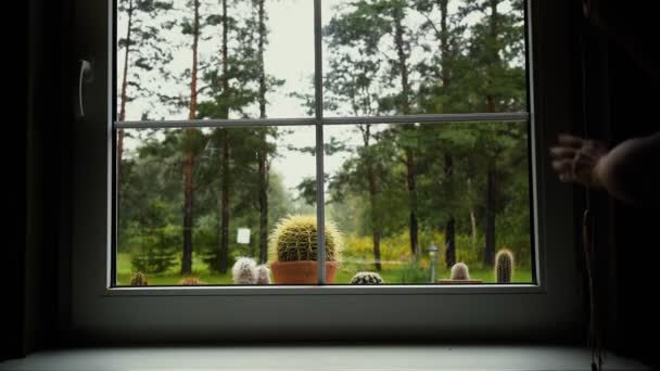 Janela cortinas abertas com borrão vista natural fundo — Vídeo de Stock