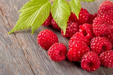 Taze yeşil yapraklarla tamamlanmış, olgun ahududular içeren, doğanın cömertliğini ince detaylarıyla gösteren güzel bir makro fotoğraf..
