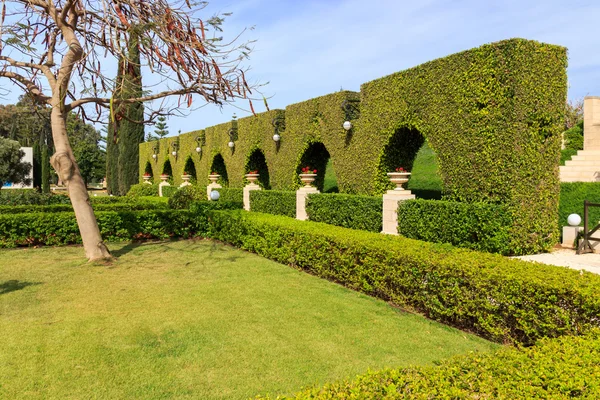 Dekorativer grüner Zaun und Blumentöpfe mit Geranien — Stockfoto