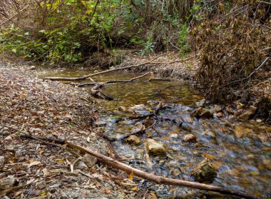 Kuzey İsrail 'deki Celile' deki hızlı, sığ, soğuk Ayun nehri.