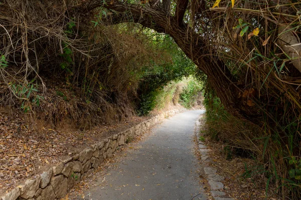 Sentier Passant Près Montagne Rapide Peu Profonde Froide Rivière Ayun — Photo