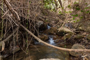 Kuzey İsrail 'deki Celile' deki hızlı, sığ, soğuk Ayun nehri.