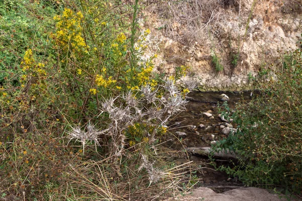 Hills Overgrown Greenery Hatanur Waterfall Which Located Continuation Rapid Shallow — Stock Photo, Image