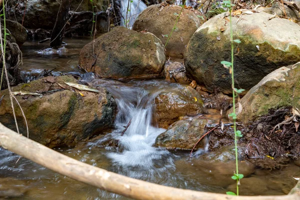 Veloz Poco Profundo Frío Río Ayun Montaña Galilea Norte Israel —  Fotos de Stock