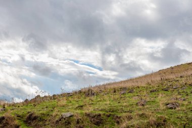 Kuzey İsrail 'deki Golan Tepeleri' nde taşlar, kuru otlar ve yeşil otlarla kaplı yamaçlar.