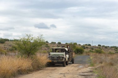 Qatsrin, İsrail, 21 Kasım 2020: At sahibi İsrail 'in kuzeyindeki Golan Tepeleri' ndeki cipe bağlı bir karavanda iki at taşıyor