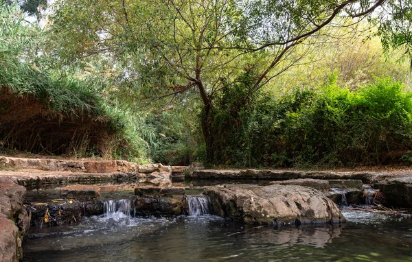 Veloz Poco Profundo Frío Río Ayun Montaña Galilea Norte Israel — Foto de Stock