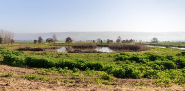 Hula Gölü Doğa Koruma Alanı Kuzey İsrail 'de bir kış sabahı