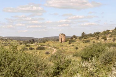 Beyt Guvrin 'deki Maresha şehri yakınlarındaki Bizans kilisesinin kalıntıları, Kiryat Gat, İsrail