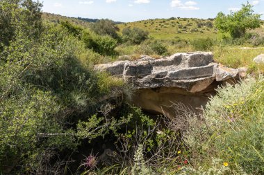 İsrail 'deki Kiryat Gat, Beyt Guvrin' deki Maresha şehri yakınlarındaki Sidonian mağaralarının kazılarının yakınındaki mağara.