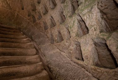 Ekonomik mağaranın duvarındaki güvercinler - kolumbaryum - İsrail 'deki Kiryat Gat yakınlarındaki Beyt Guvrin' deki antik Maresha şehrinin kazılarına yakın bir güvercin yuvası