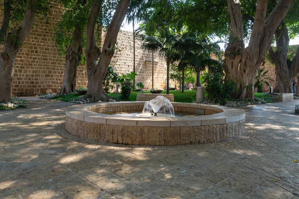 Fuente Pequeño Jardín Botánico Patio Del Castillo Cerca Del Museo — Foto de Stock