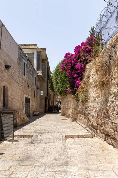 Jerusalén Israel Julio 2021 Tranquila Calle Mozllen Los Barrios Cristianos — Foto de Stock