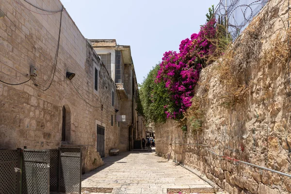 エルサレム イスラエル 2021年7月17日 イスラエル エルサレムの旧市街のキリスト教地区にある静かな小さなアル モズレン通り — ストック写真