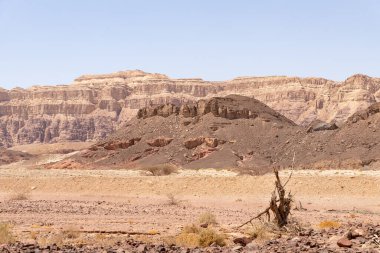 İsrail 'in güneyindeki Eilat yakınlarındaki Timna Milli Parkı' nda yaz mevsiminde olağanüstü güzel bir manzara..