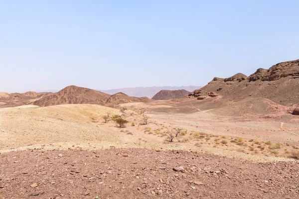 Fantasticamente Bela Paisagem Verão Parque Nacional Timna Perto Eilat Sul — Fotografia de Stock