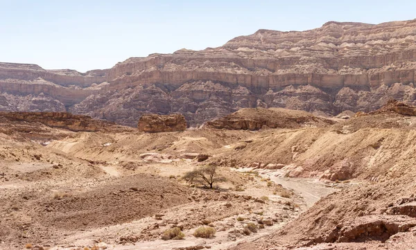 Fantasticamente Bela Paisagem Verão Parque Nacional Timna Perto Eilat Sul — Fotografia de Stock